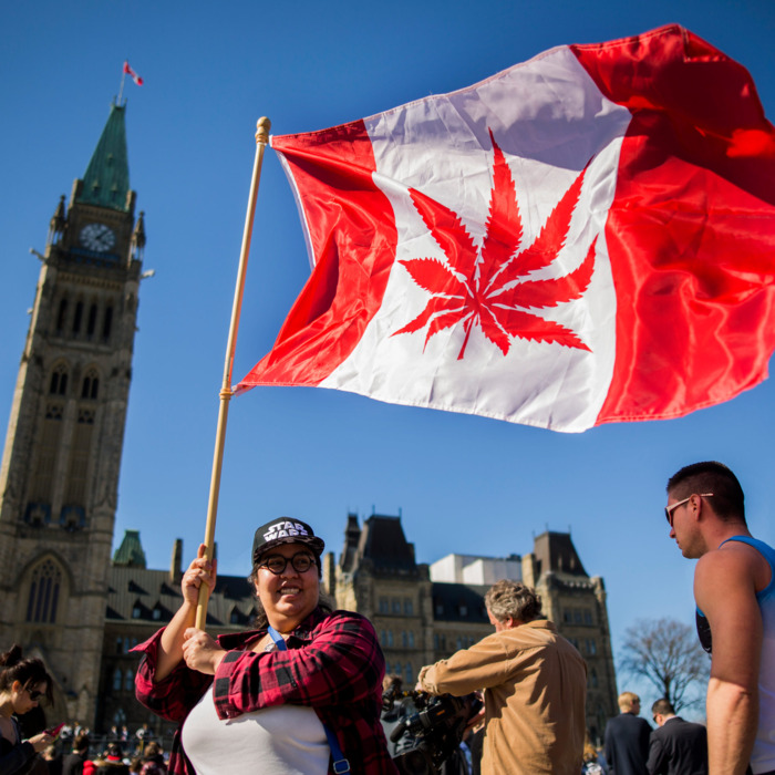 Read more about the article Weed Stores in Canada Run out of Supplies, More People Line up on Second Day