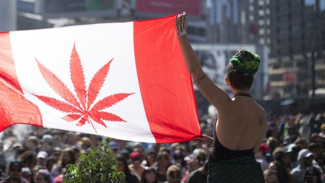 You are currently viewing Canada Legalises Recreational Marijuana!