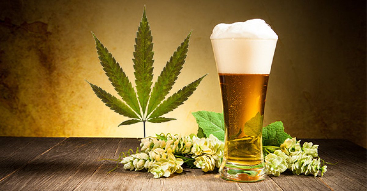 Read more about the article Cannabis in Beer Experiencing a High in Germany!