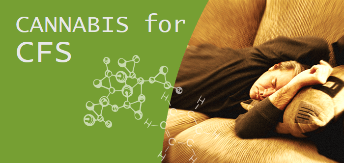 Read more about the article Cannabis: Solution for Chronic Fatigue Syndrome?