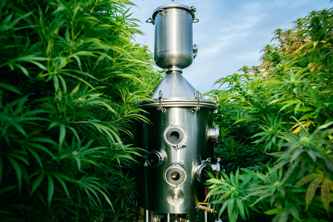 You are currently viewing Ethanol Extraction for CBD: Safe and Efficient