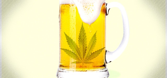 beer glass with cannabis