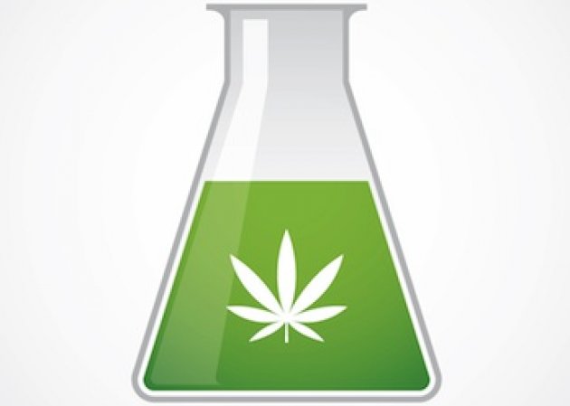 Read more about the article Cannabis Plants or Chemical Plants: What’s the Best Way to Make Cannabinoid-Based Drugs?