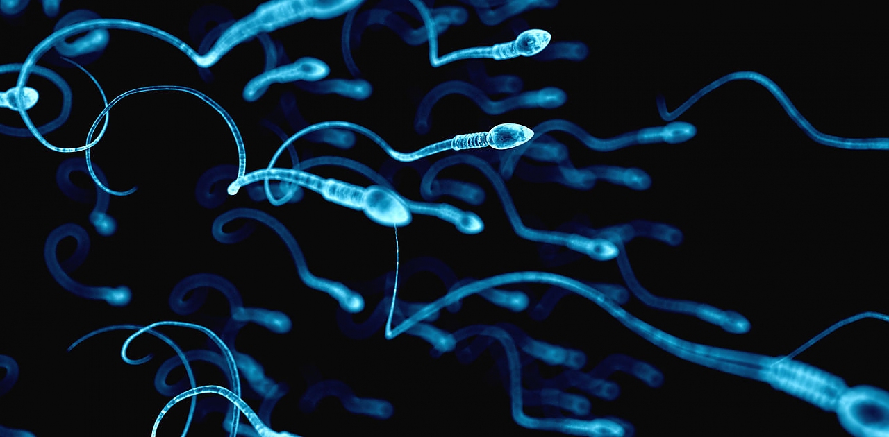 Read more about the article Consumption of Cannabis Alters DNA in Sperm, According to a Study
