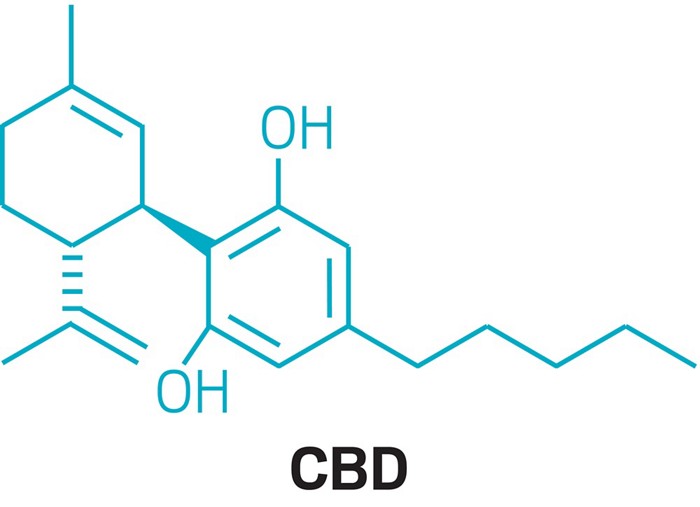 Read more about the article CBD drug may be the next Lipitor, CEO says