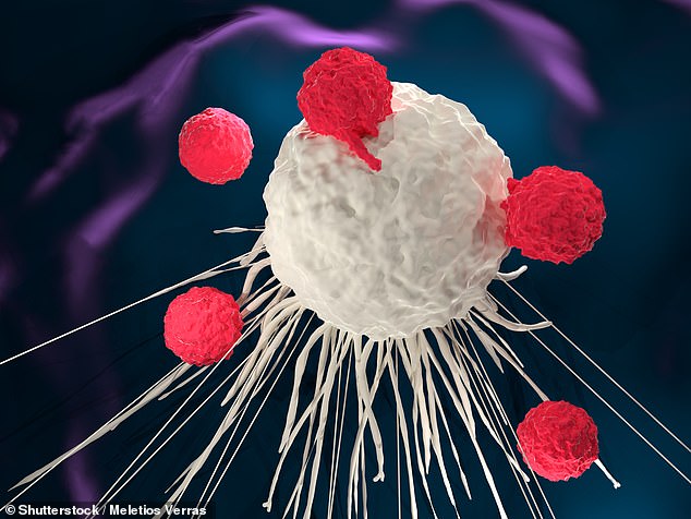Read more about the article New immunotherapy is the first to shrink lung, breast and mesothelioma tumors
