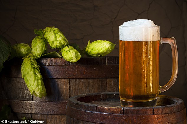 Read more about the article Could hops in beer tackle liver and colon CANCER? Scientists discover three compounds in the flower ‘which can kill the tumours’